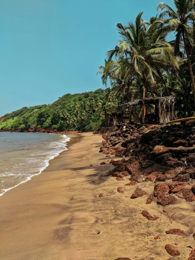 goa1