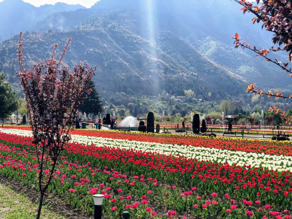 kashmir1