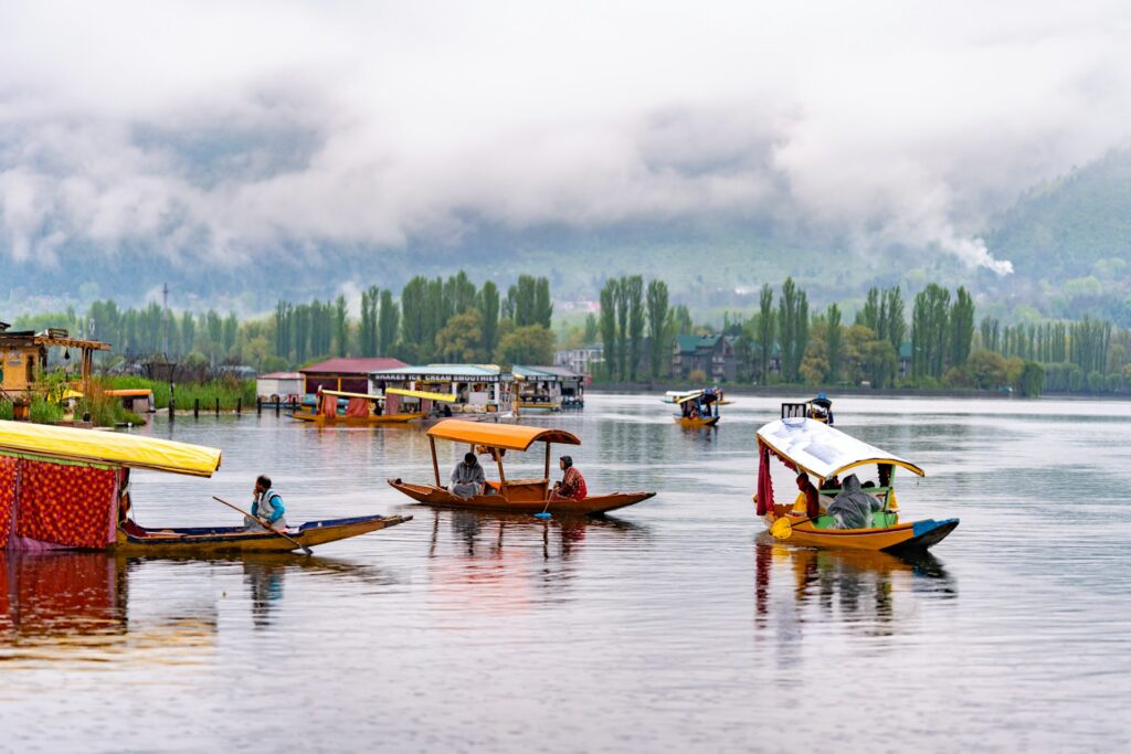 kashmir