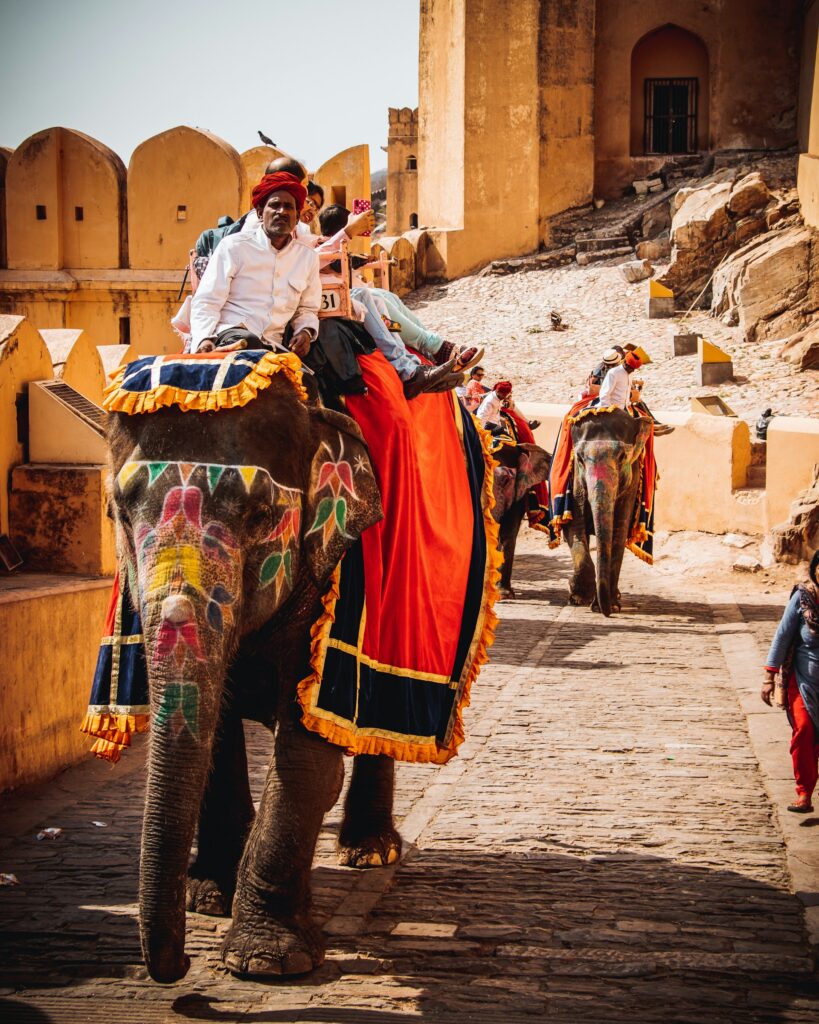 rajasthan1